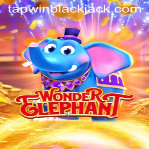 Exploring the Adventure of WonderElephant